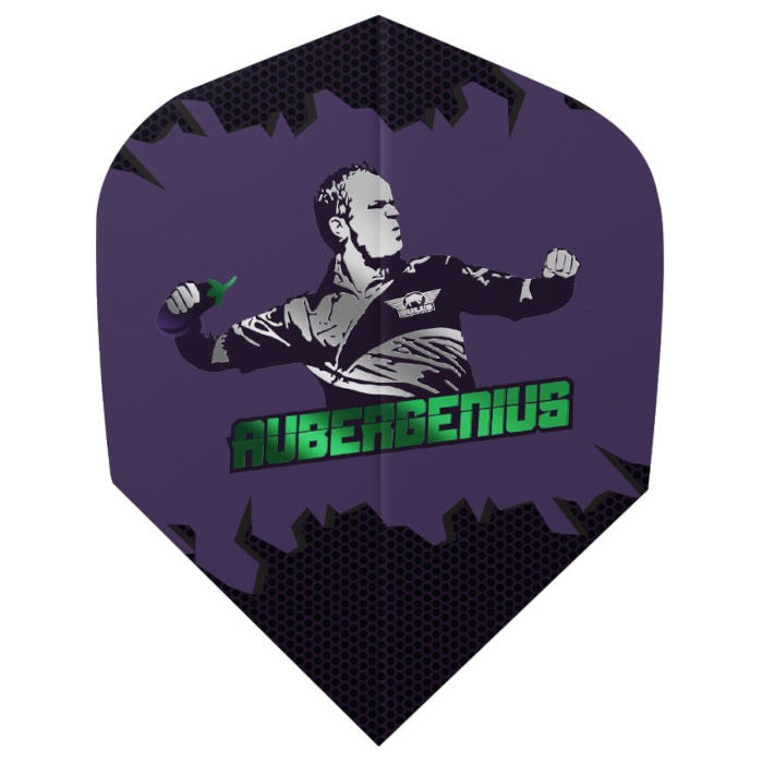 van duijvenbode darts toll
