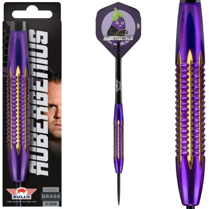 dirk van duijvenbode darts nyíl