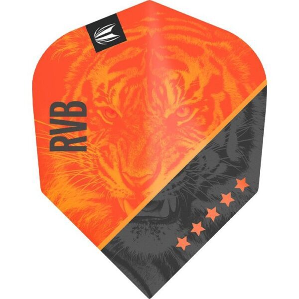 Raymond van Barneveld darts toll