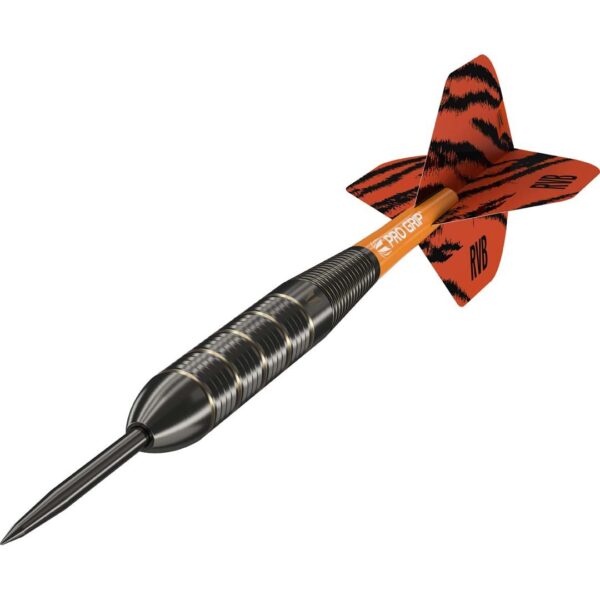 Target Raymond van Barneveld Brass 22 - Image 2